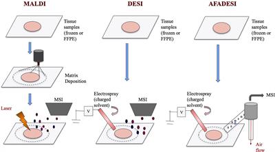 Comparing DESI-MSI and MALDI-MSI Mediated Spatial Metabolomics and Their Applications in Cancer Studies